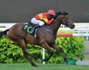 Red Beared scores at Singapore back in June.<br>Photo by Singapore Turf Club